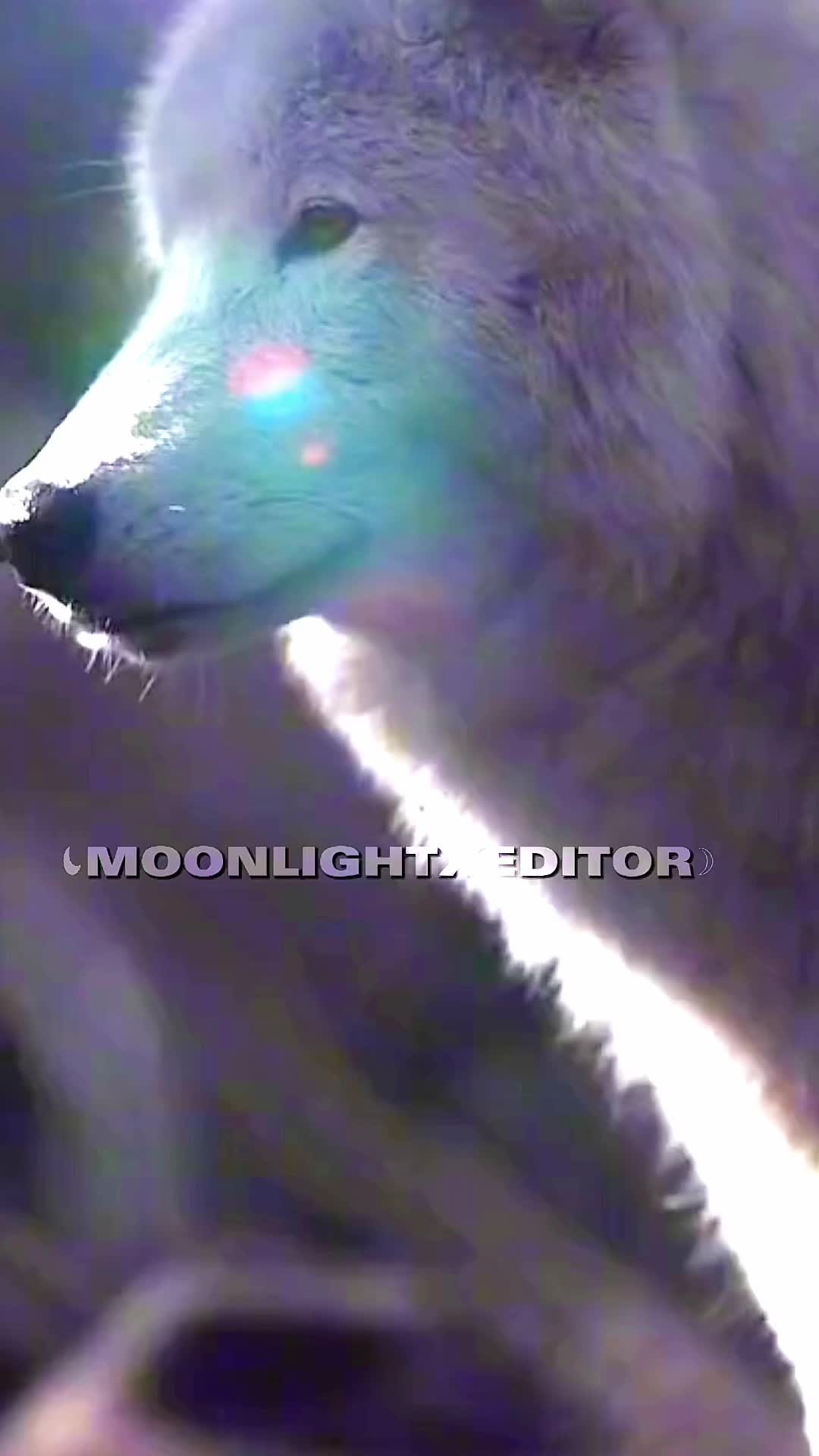@💜🐺moonlight🐺💜
