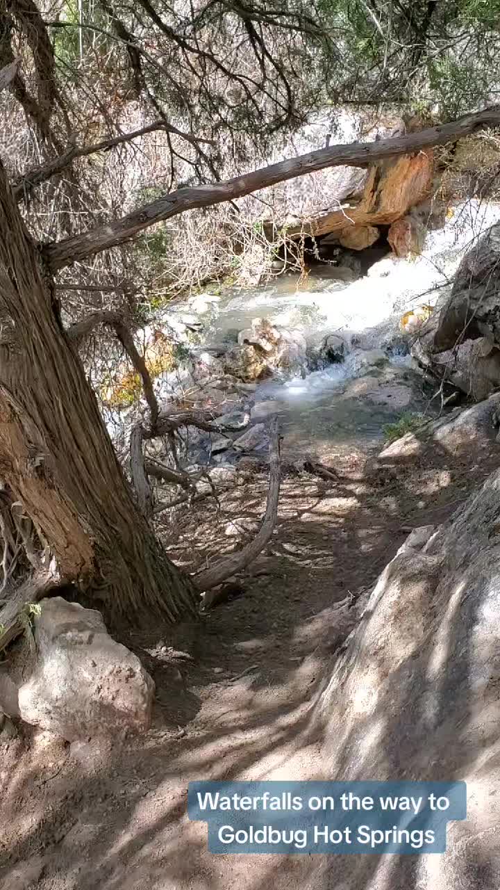 @#hikewithSierra2163