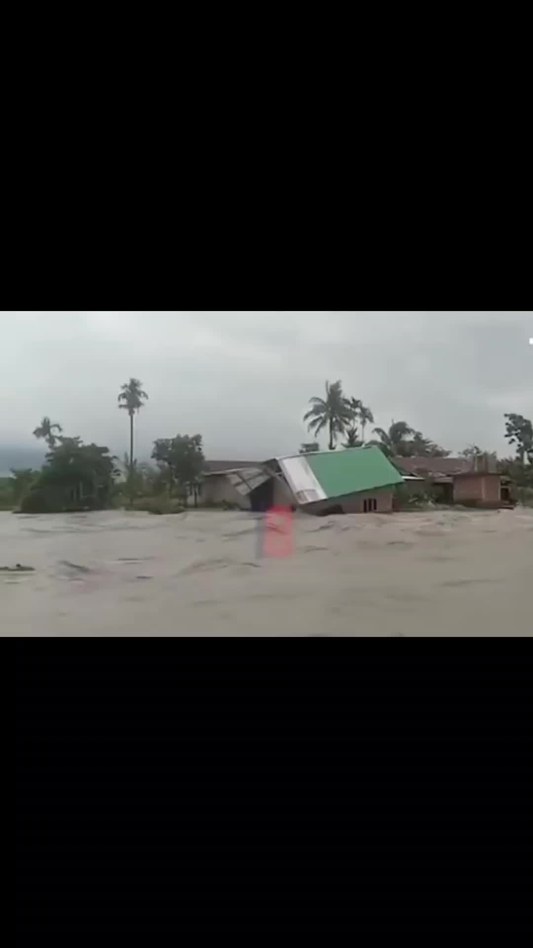 @MNN - Weather