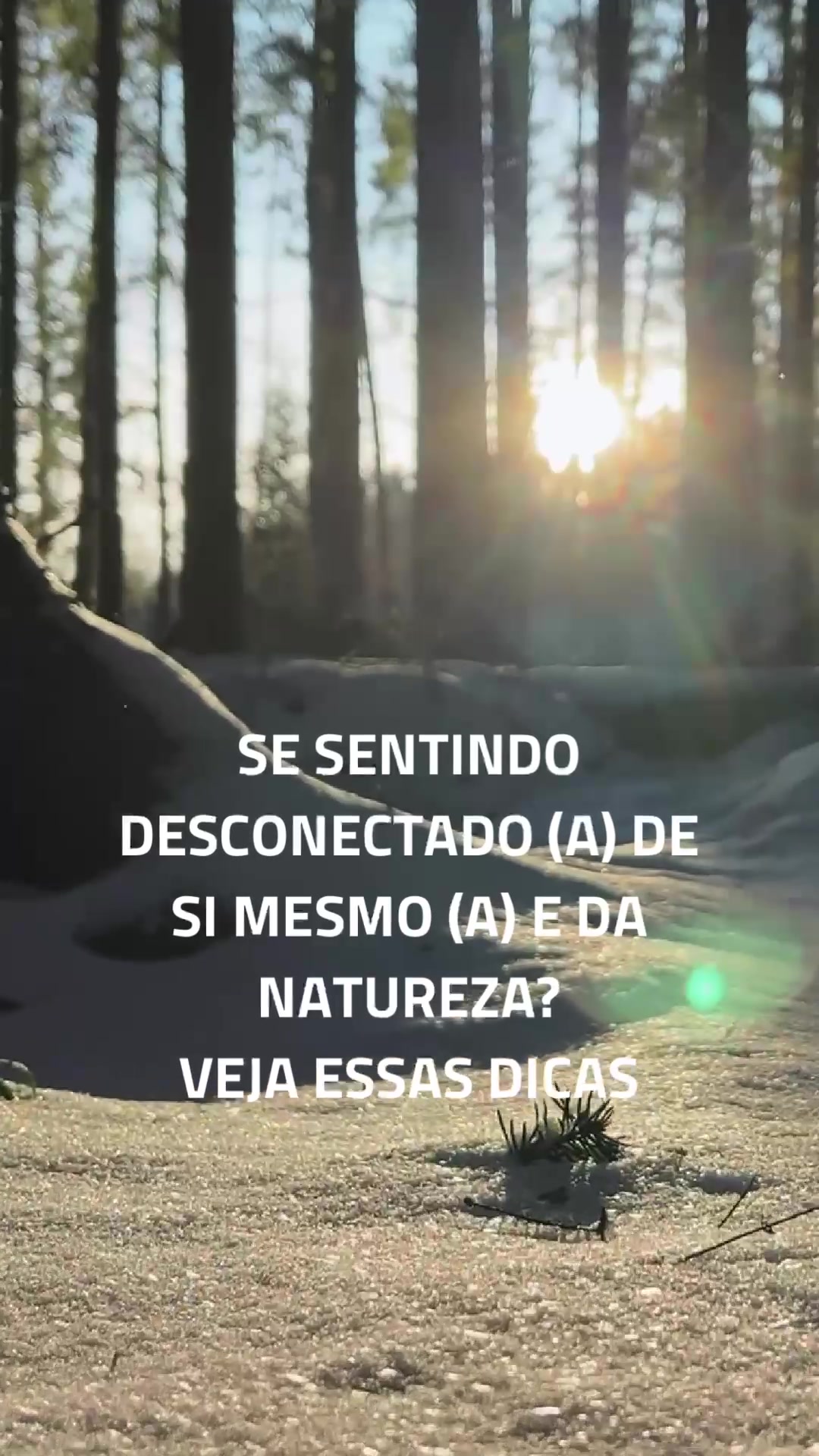 @Prop&oacute;sito DEC