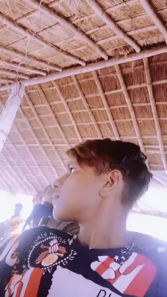 @bashirshaikh5861