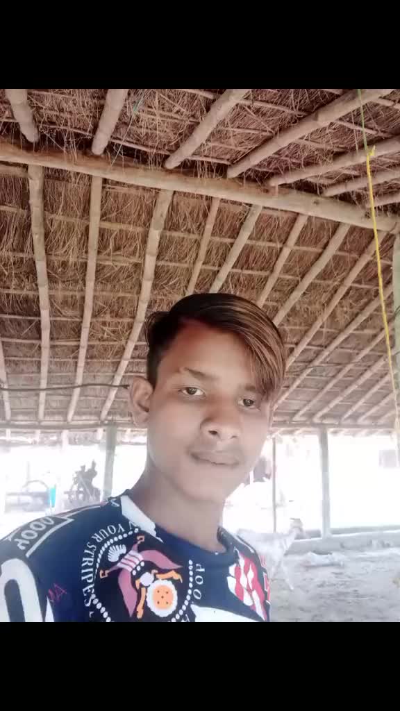 @bashirshaikh5861