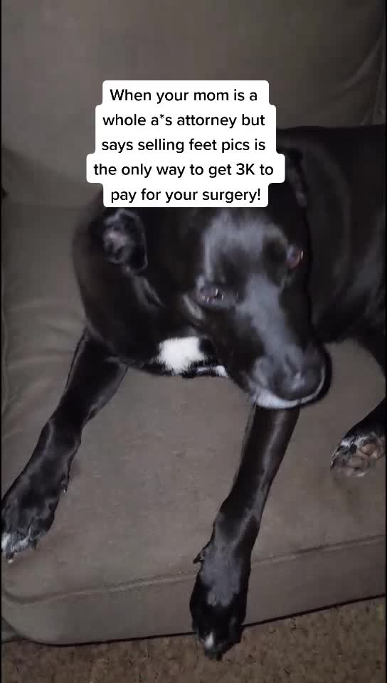 @diamondsdoggydaycare