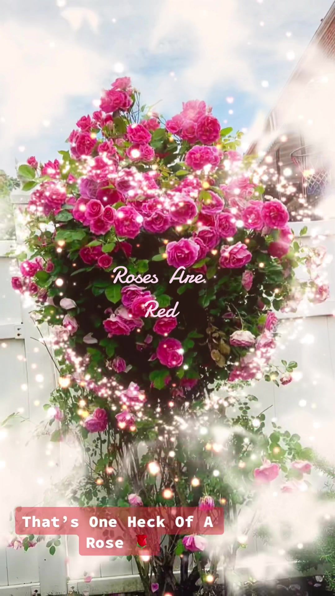 @SRG Landscaping