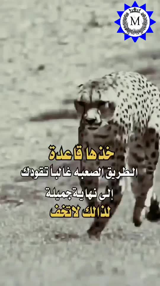 @Mohamed Yousef