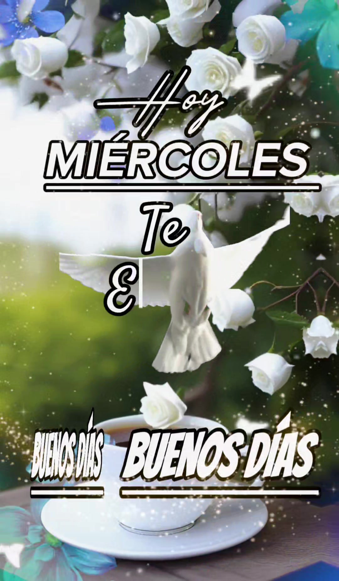 @Arely Mendoza Frases bonitas