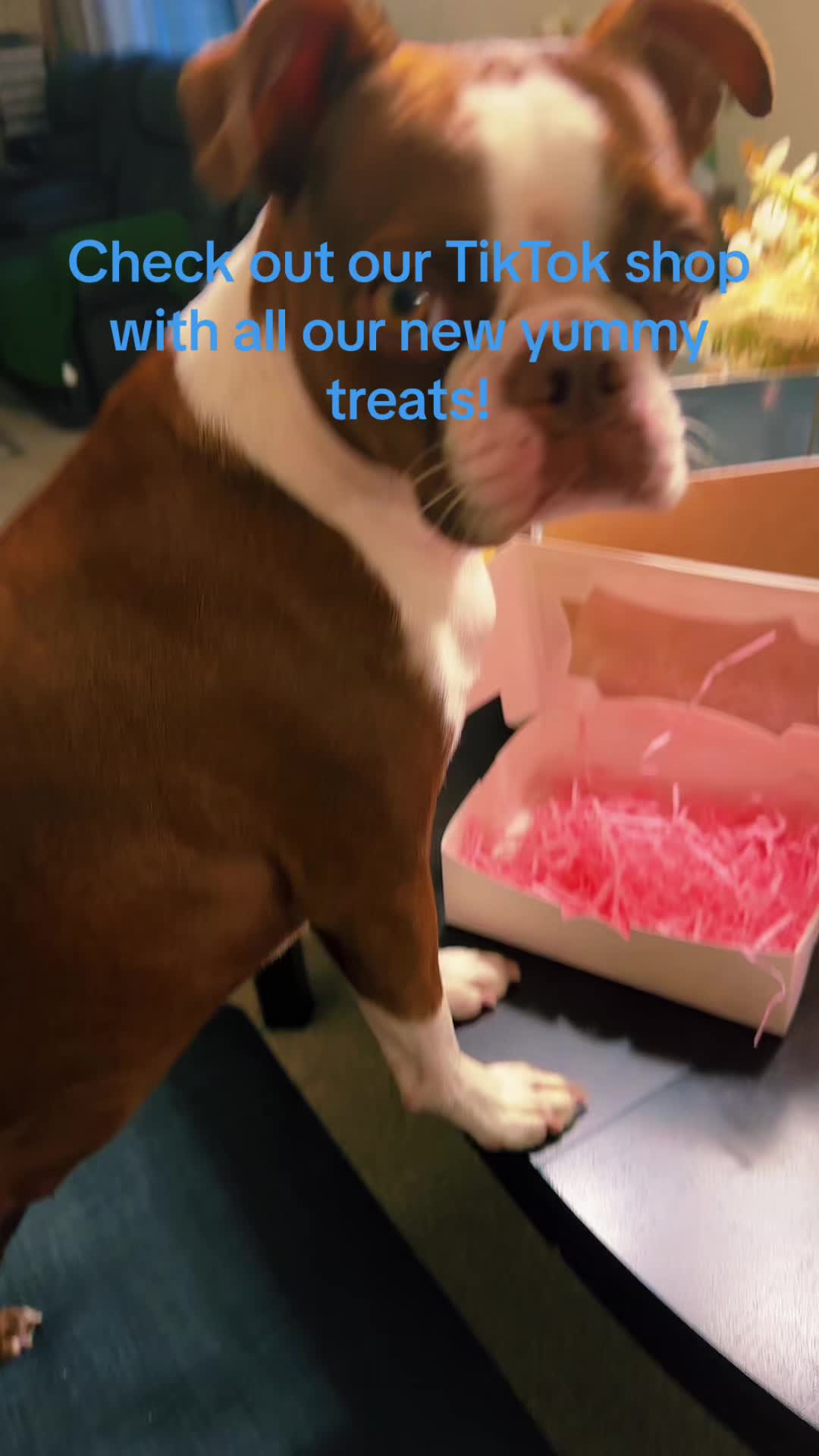 @Susie