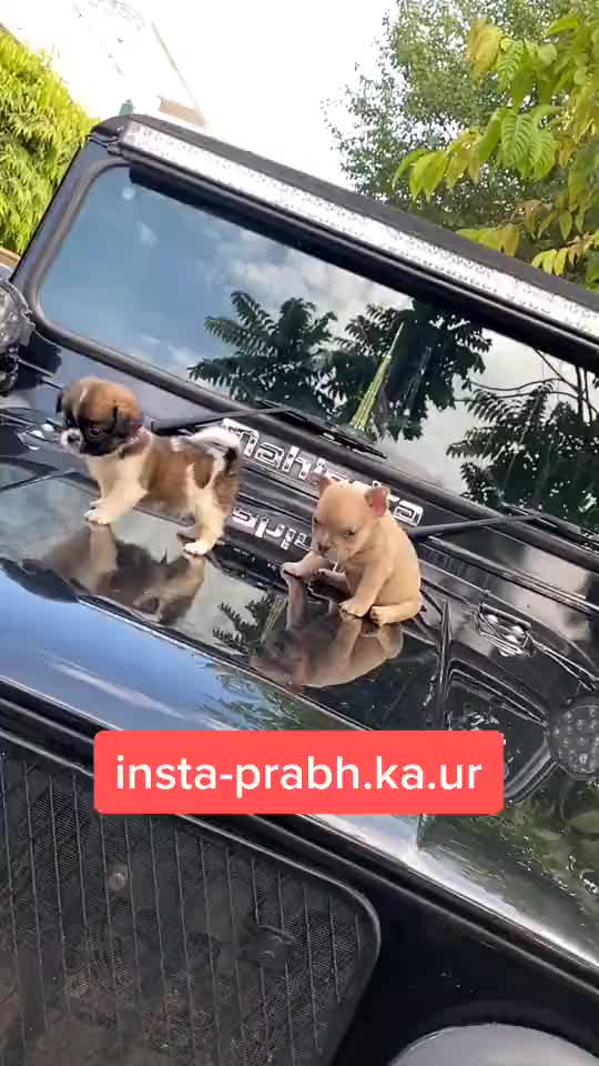 @prabh.ka.ur.fan_54