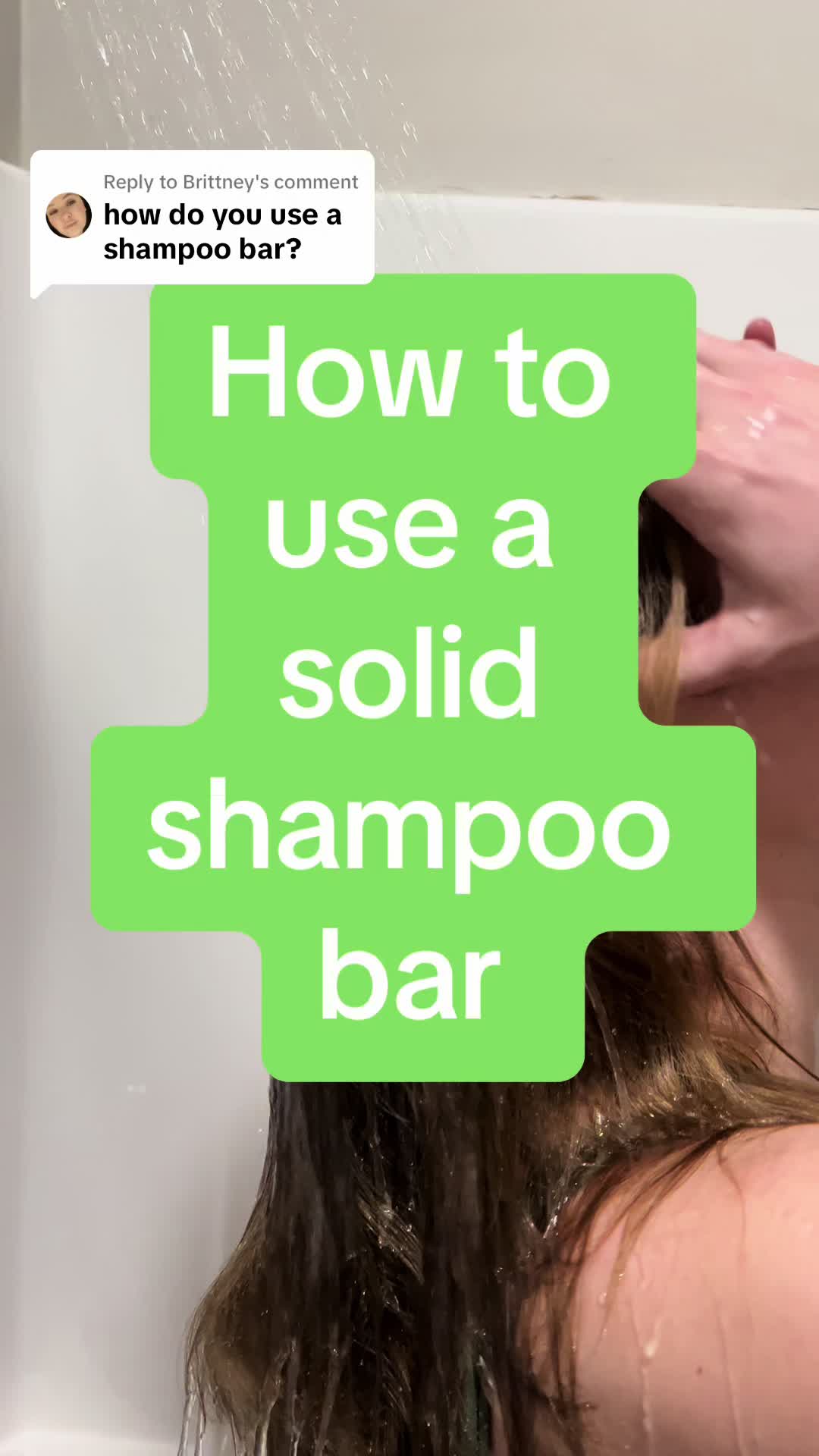 @Oak&ensp;&&ensp;Willow