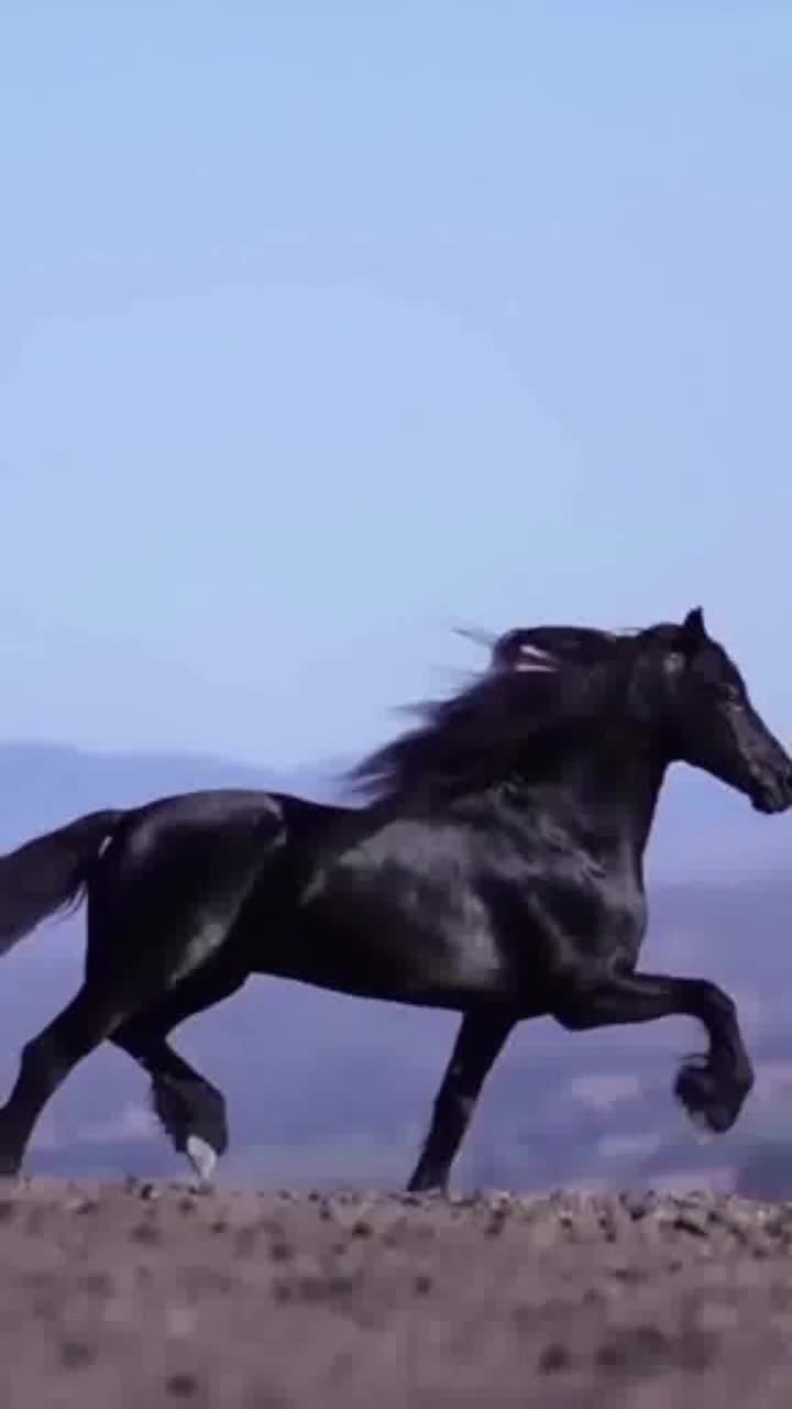 @hazineakcelep25