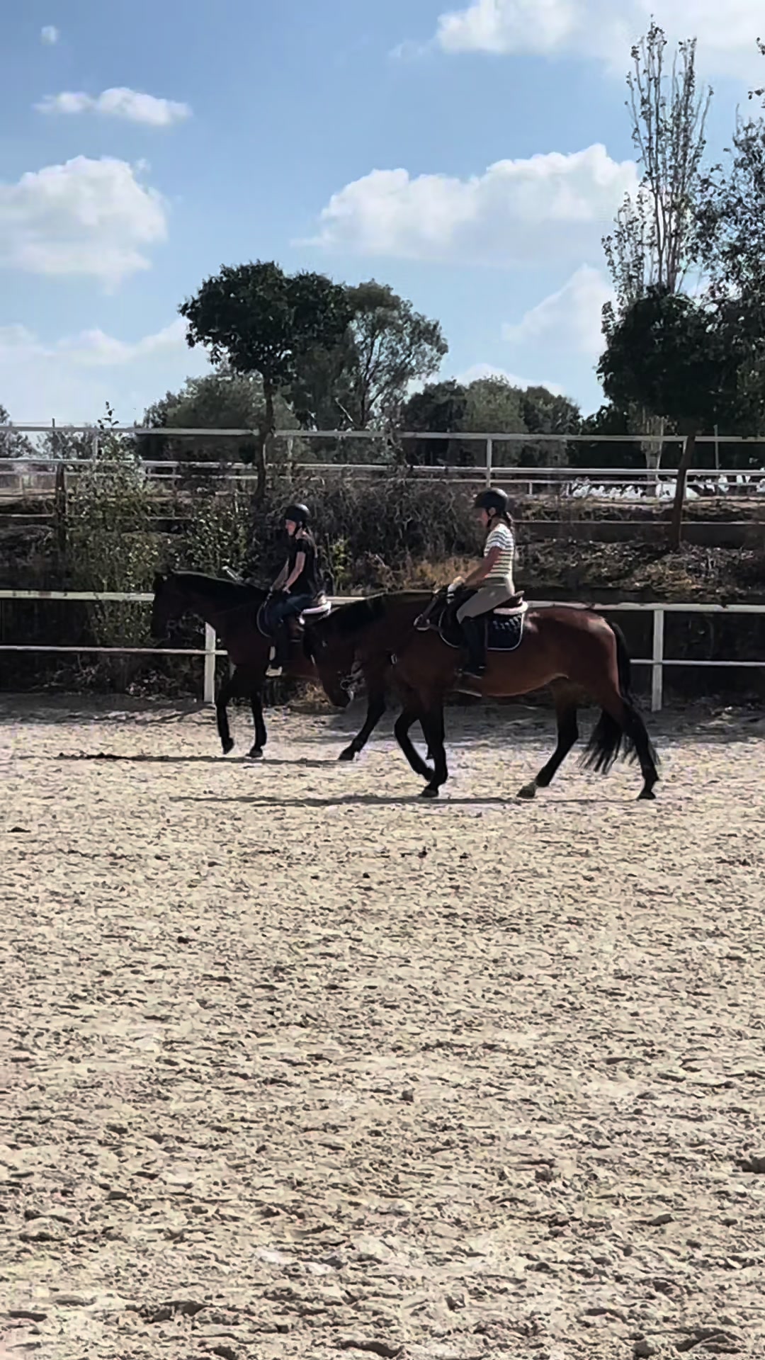 @MHA Teamriding