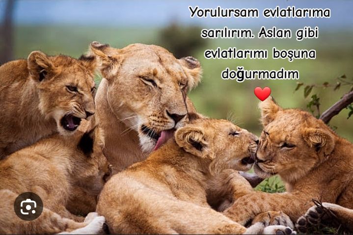 @Hilalizmm