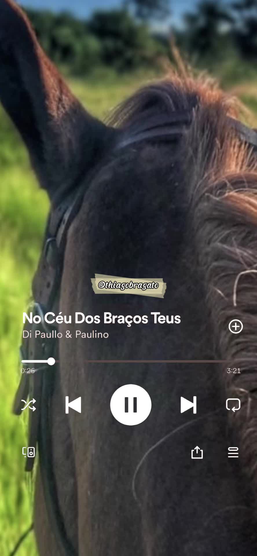 @Thiago Bragato
