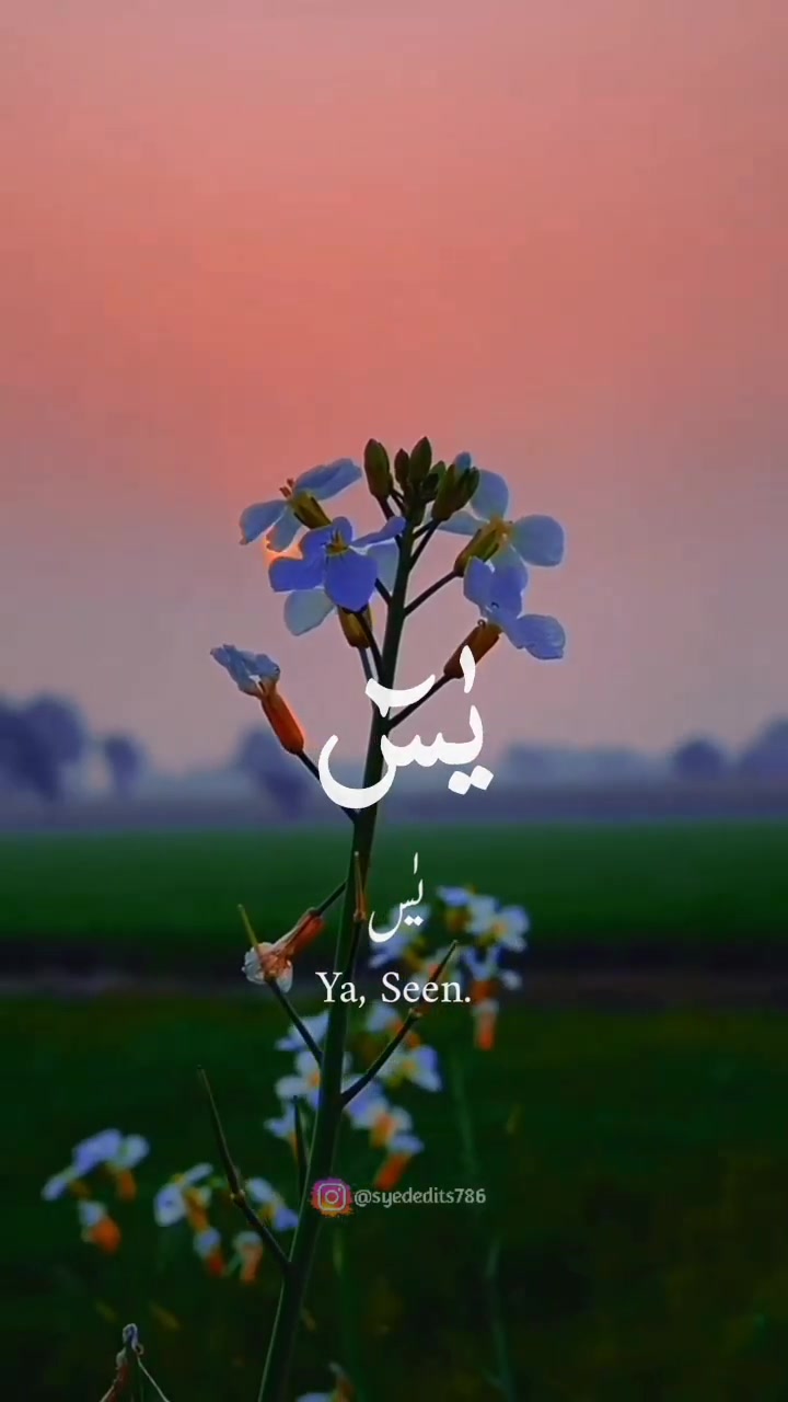 @★彡[ꜱʏᴇᴅ ᴇᴅɪᴛꜱ]彡★