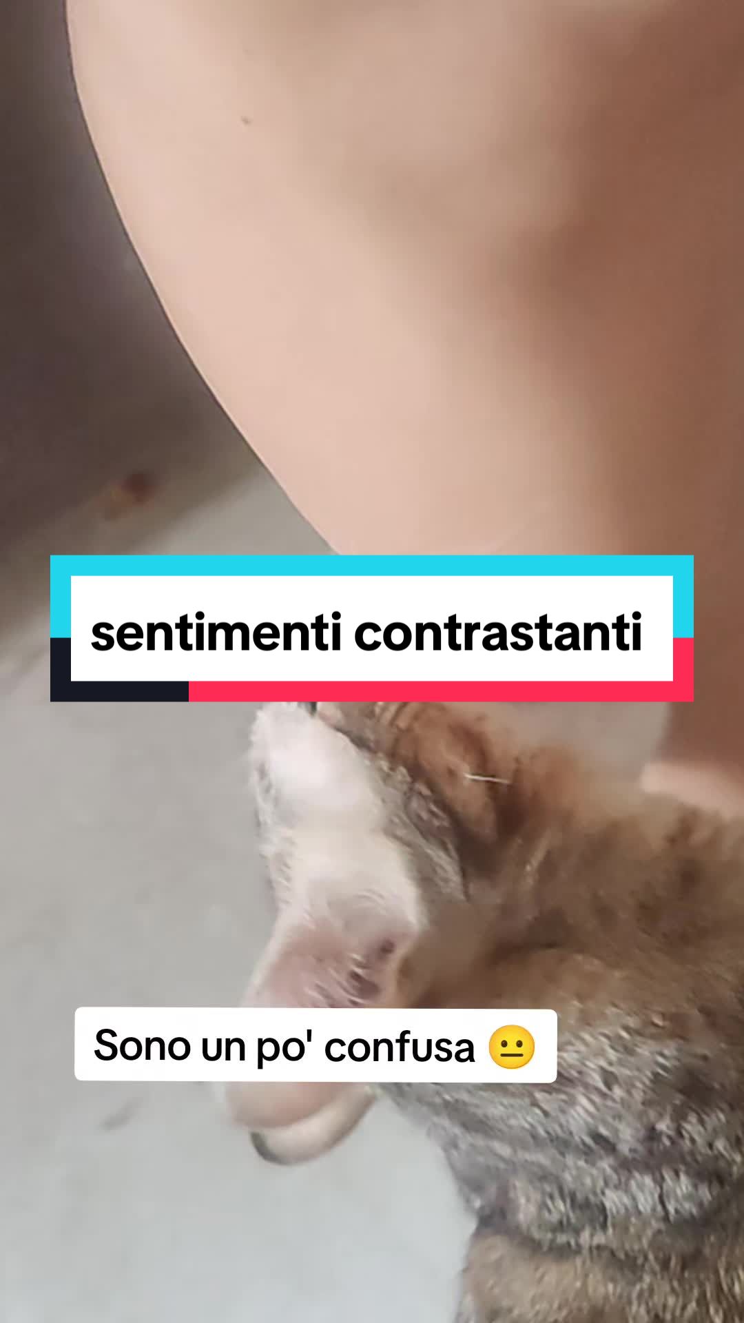 @PaolaCruci
