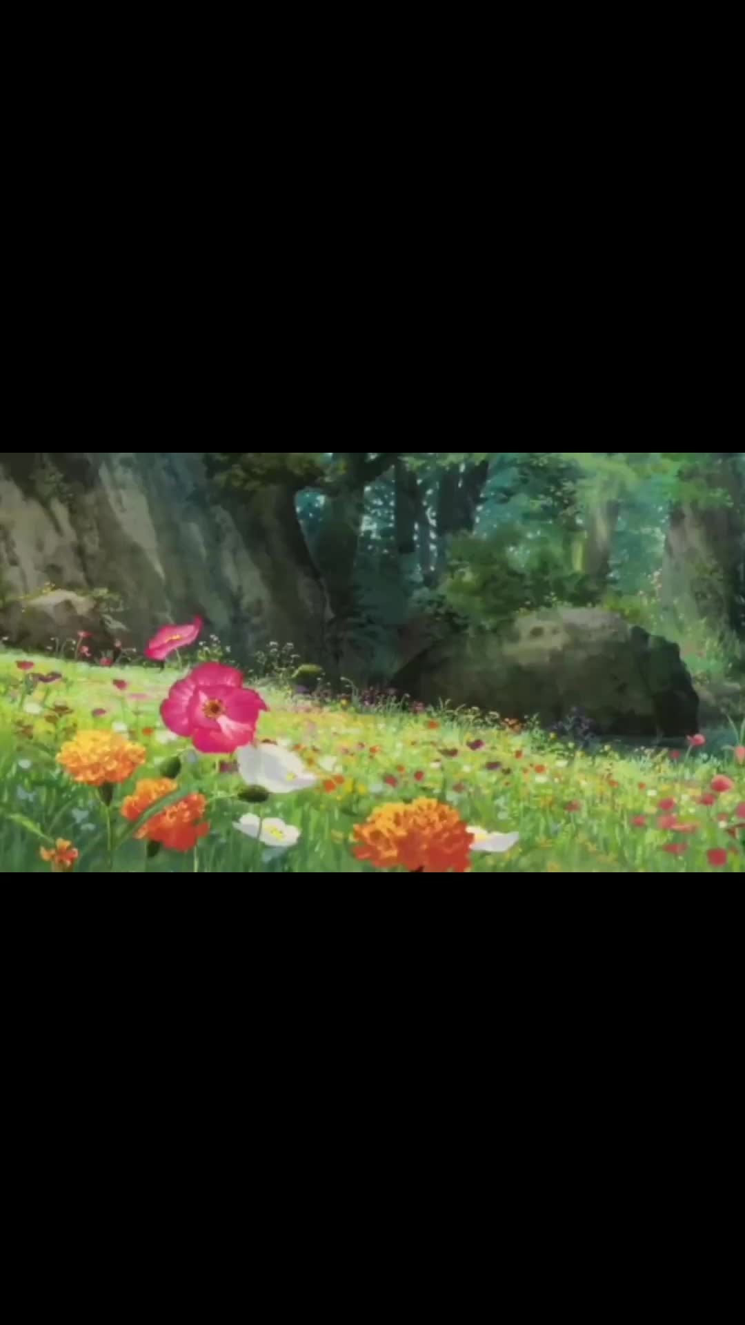 @Healing Scenery