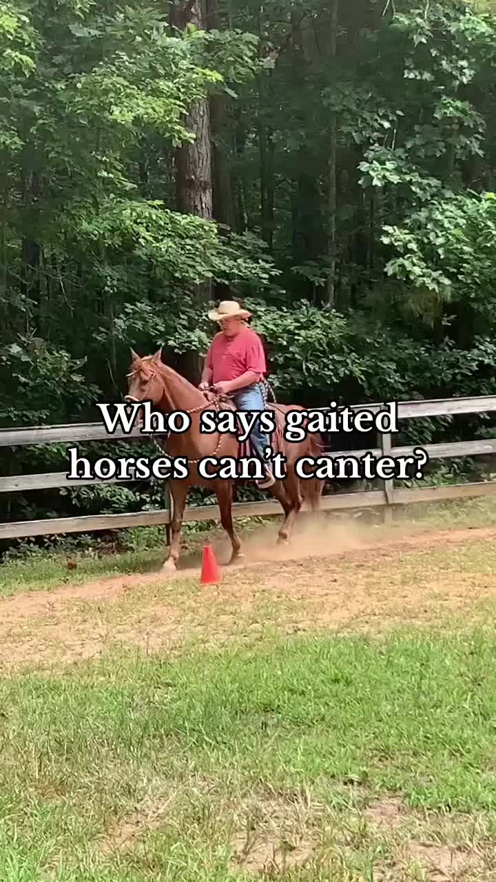 @Just Gait