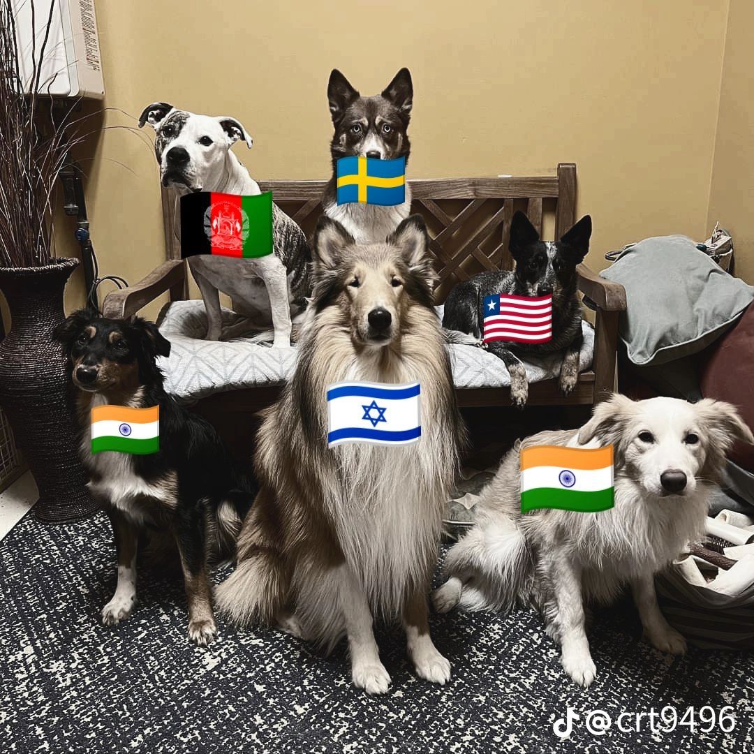 @T⊶P⊶G⊶.⊶M⊶A⊶J⊶N⊶O⊶O⊶.⊶Y⊶T