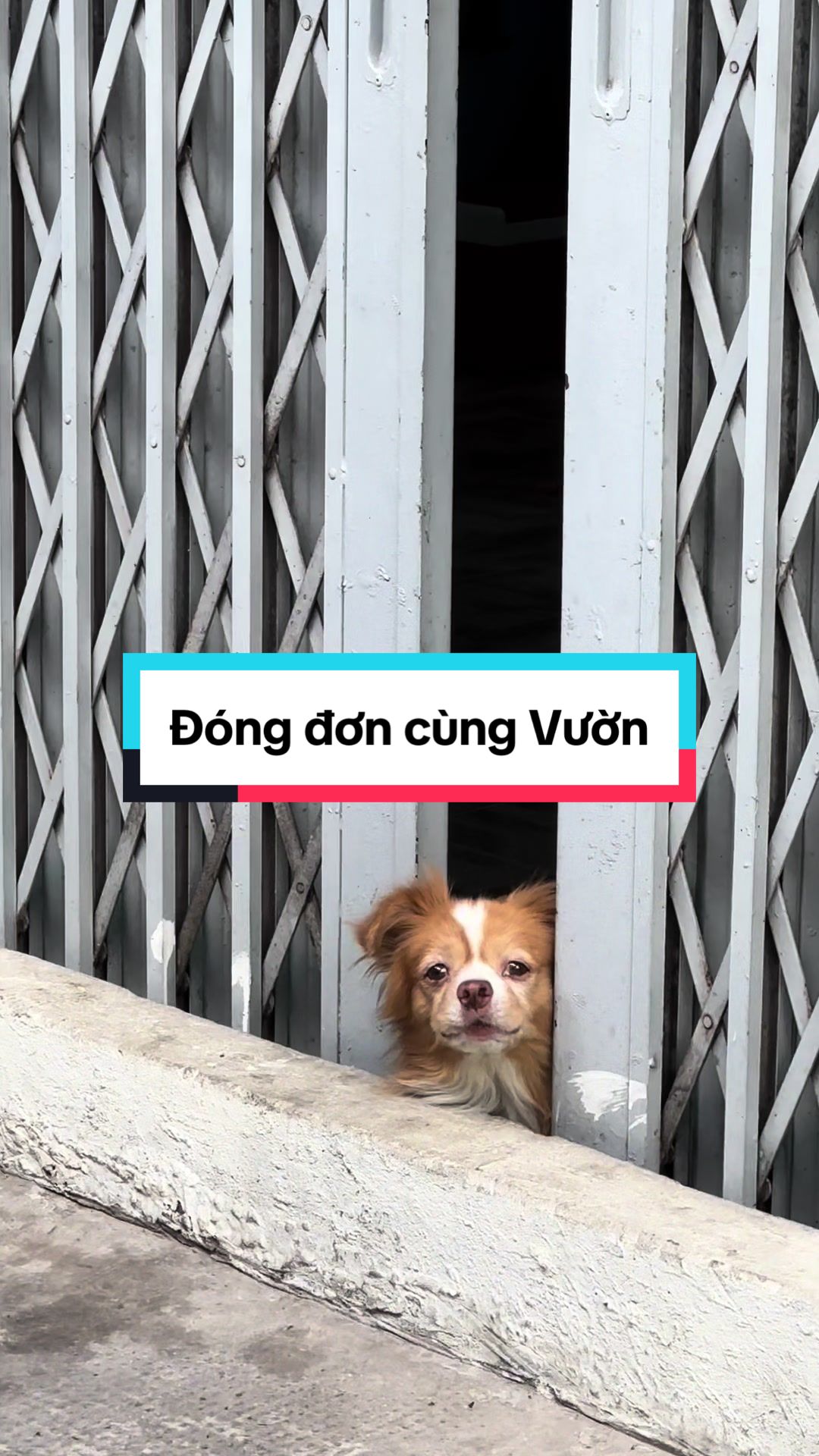 @Vườn Của Kiến