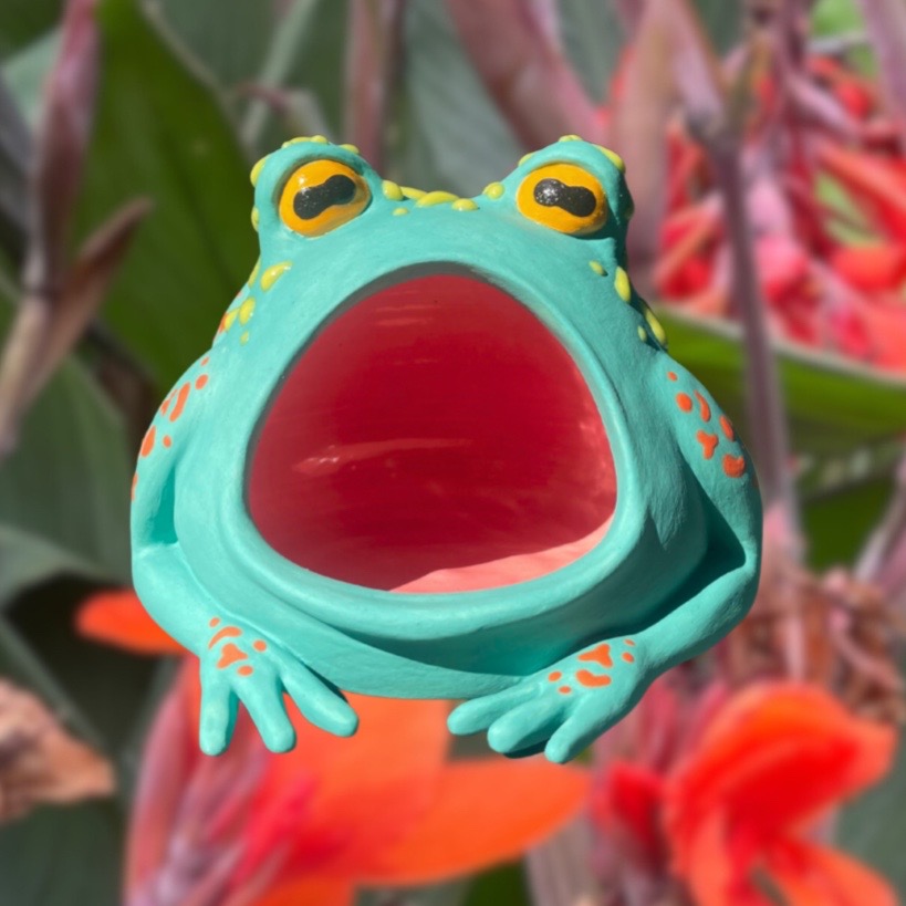@The Colorful Wild