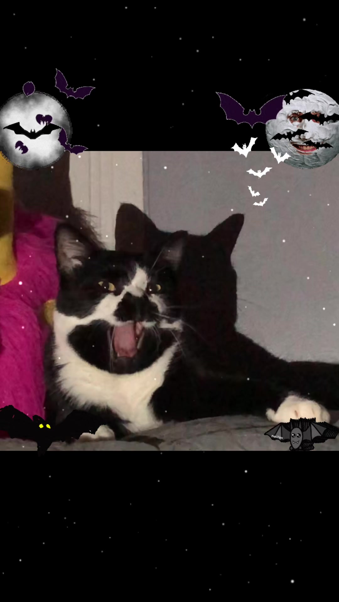 @creepyspookyicky