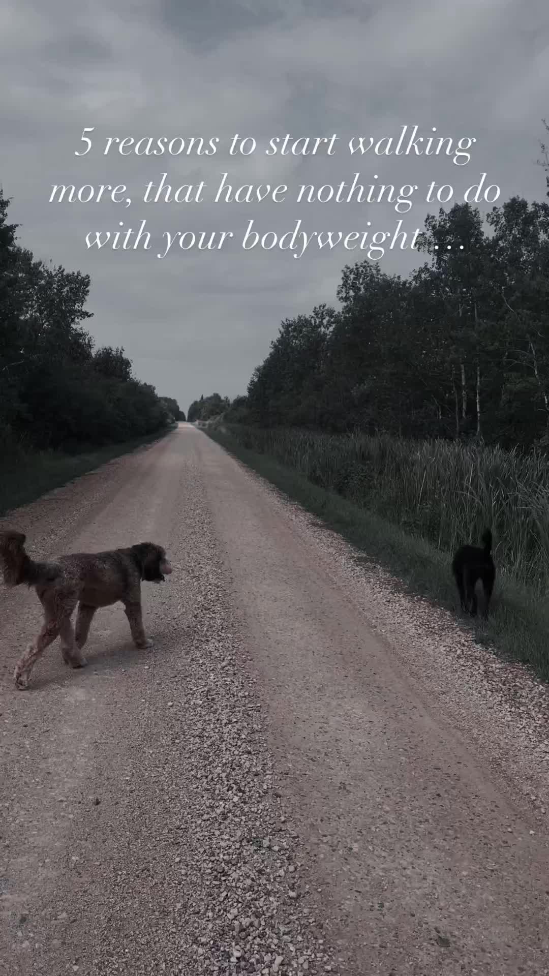 @Roxanne Gauthier