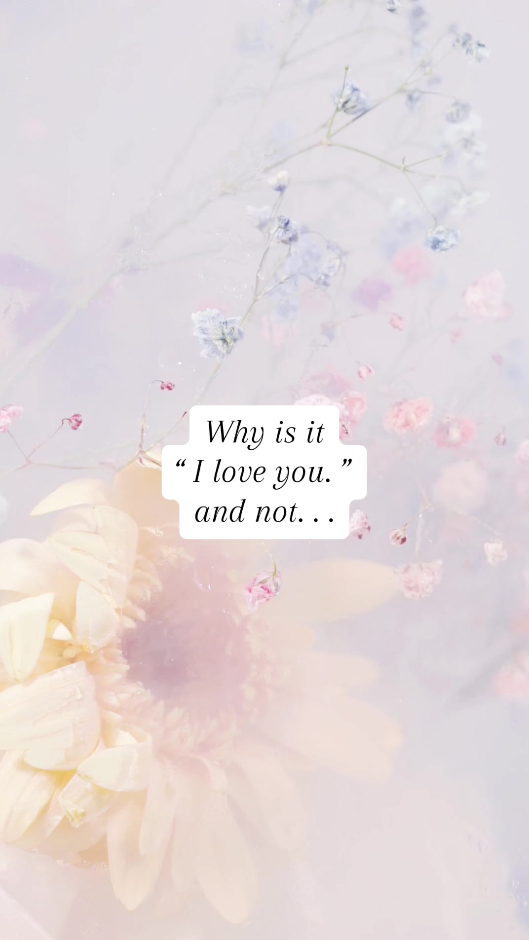 @Sarah&ensp;Doughty&ensp;|&ensp;Author