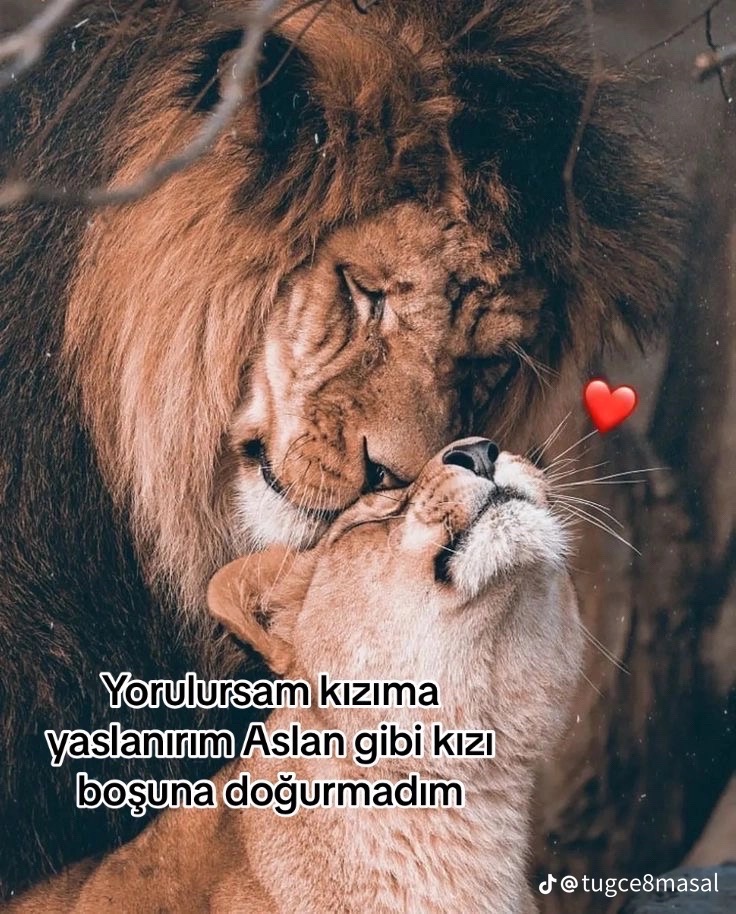 @Ş&ouml;hret ❤️serkan