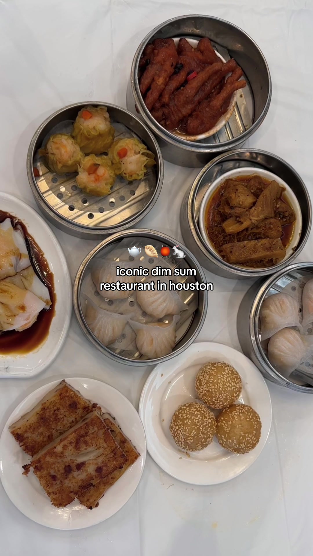 @joy lu