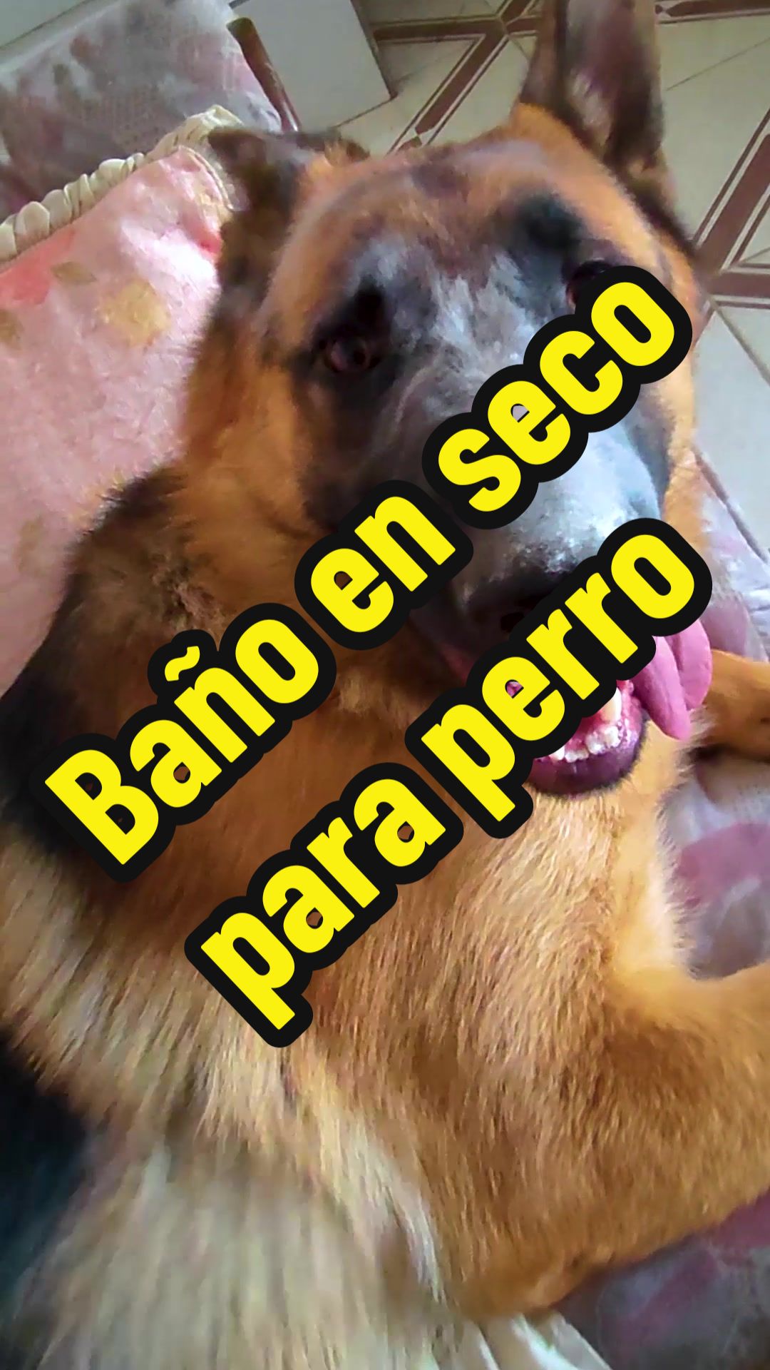 @Llamaha