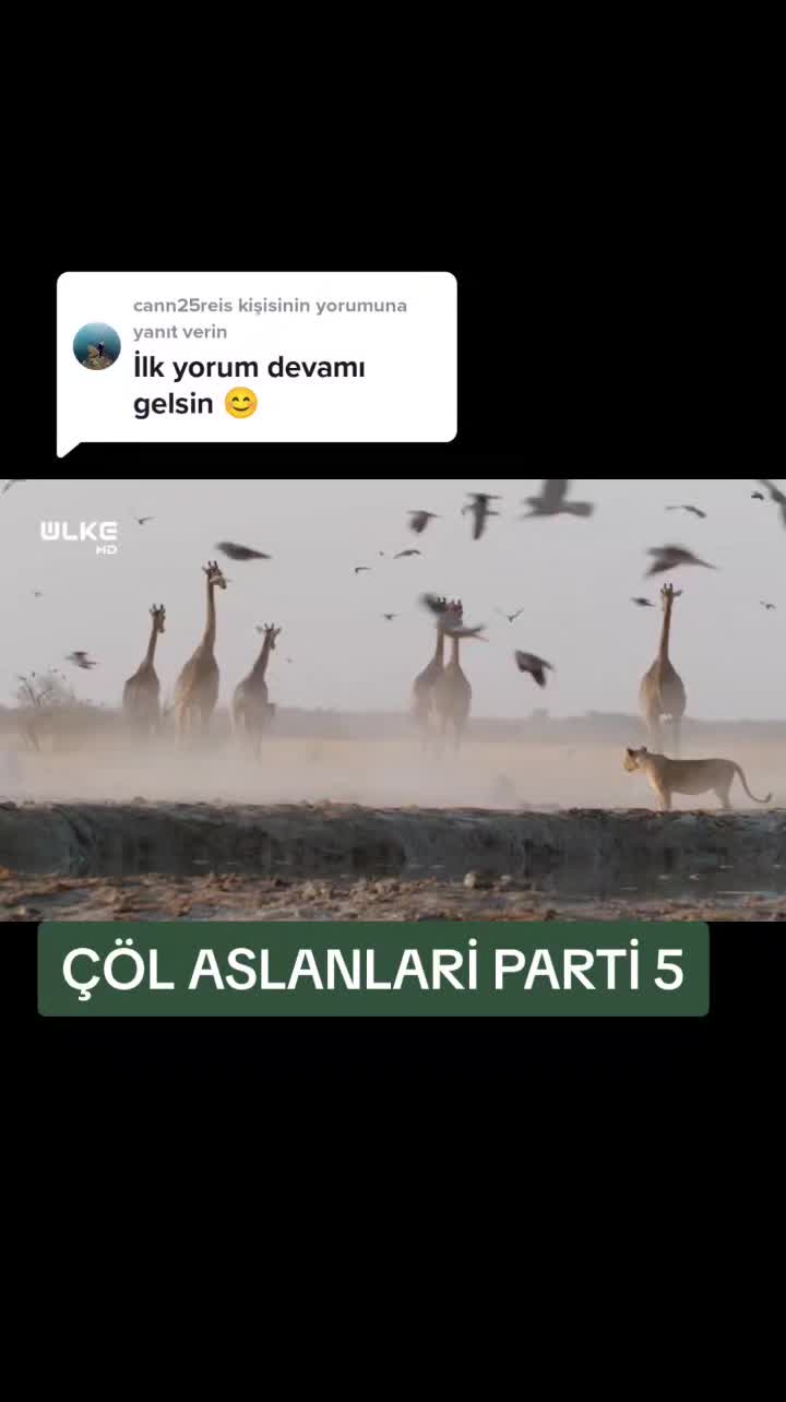 @Belgesel D&uuml;nyası 🌏
