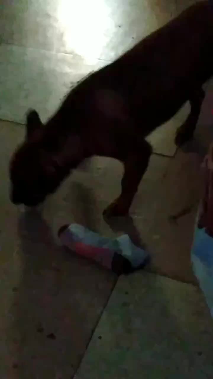 @shugabear420