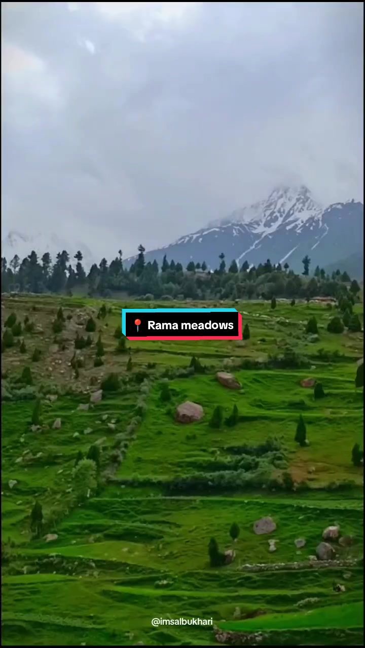 @Sal Bukhari