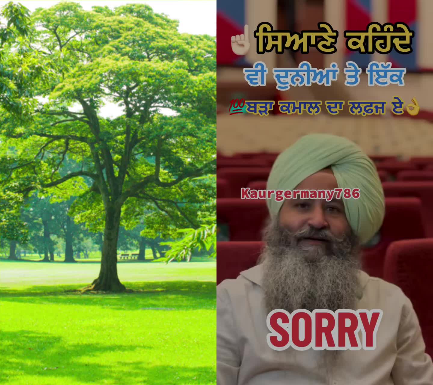 @sony0996