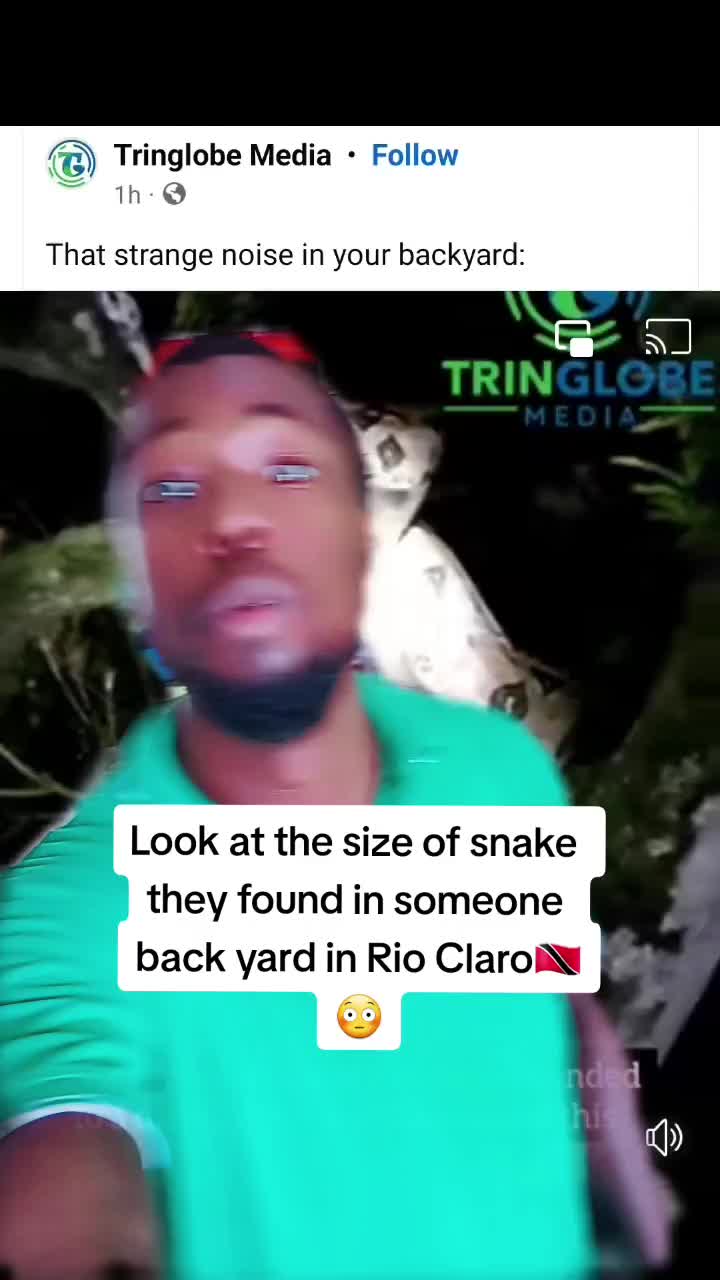 @paulduntin868🇹🇹