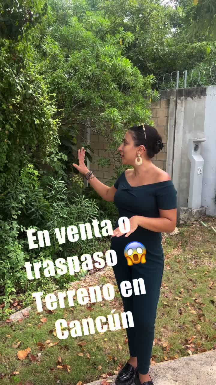@Mi sue&ntilde;o caribe&ntilde;o