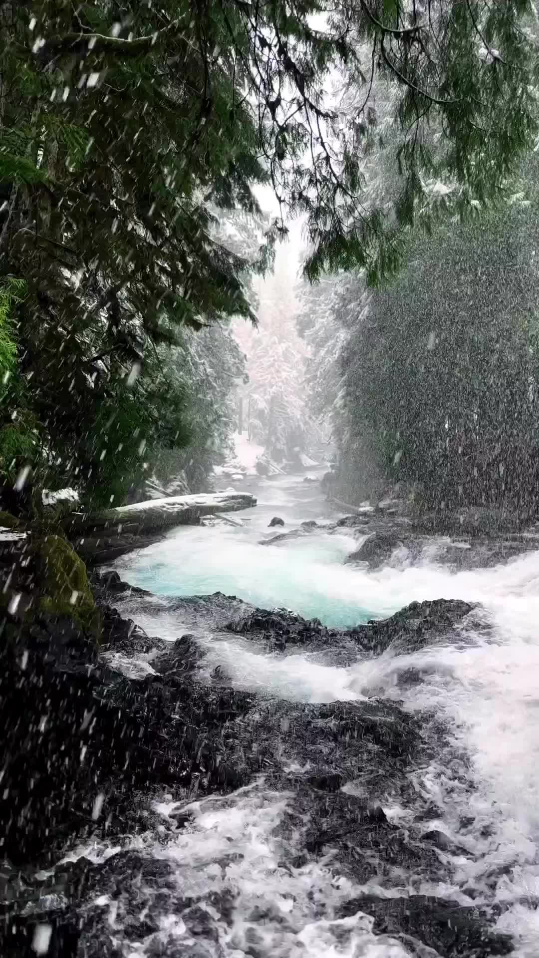 @Nature+Lofi