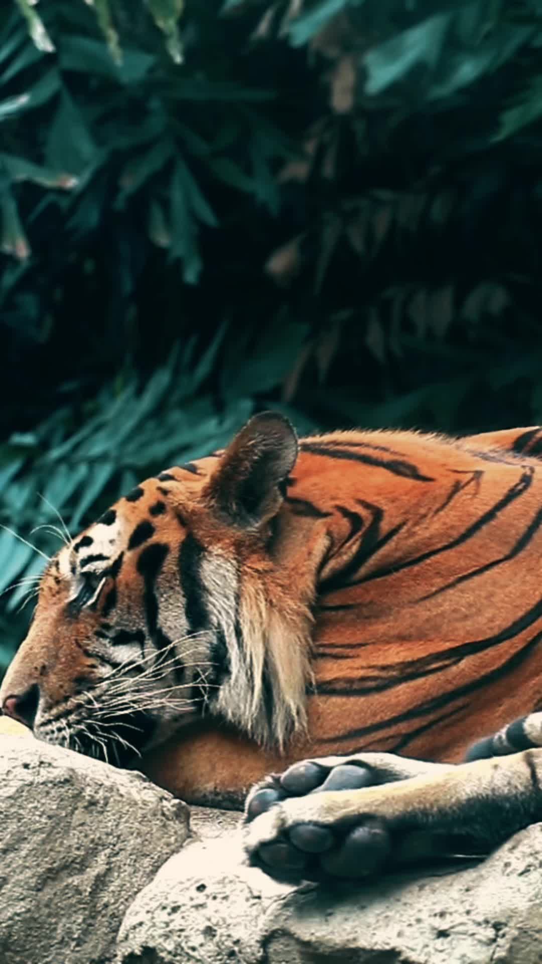 @HerculeanMotivation