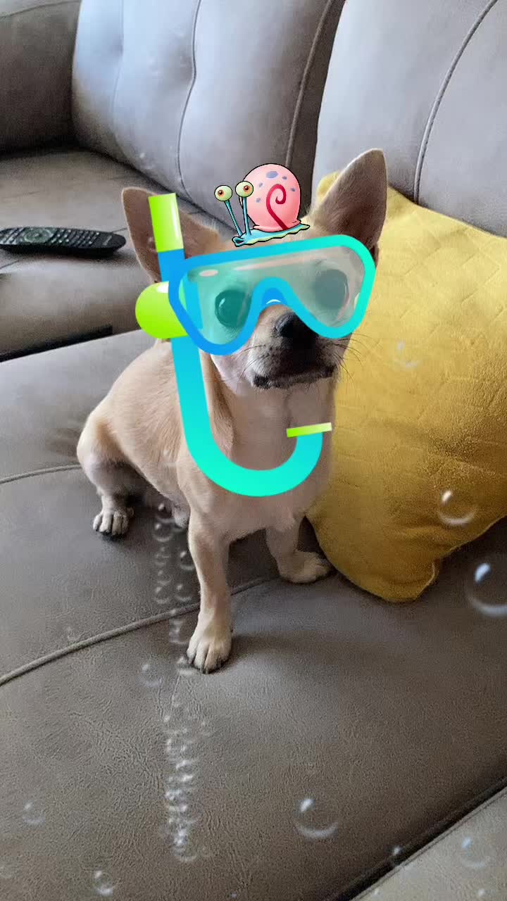 @Leticia Rodr&iacute;guez