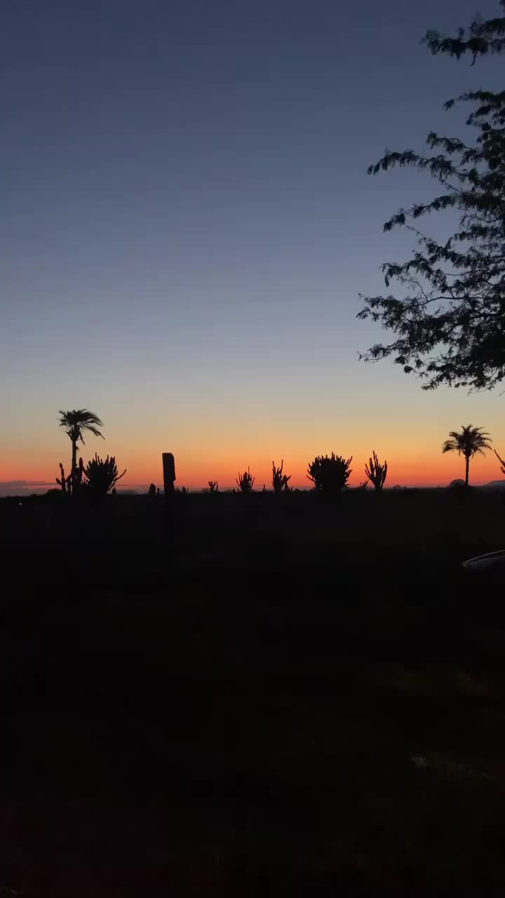 @pontodeconexao