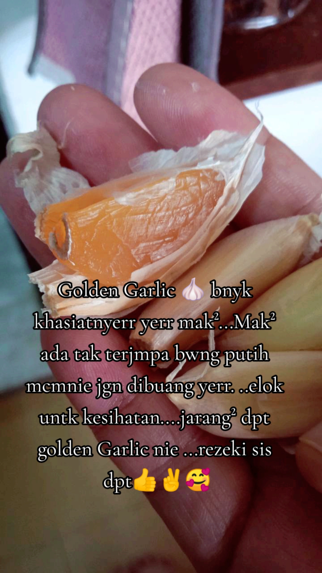 @FaRRaTuN KuiH MeLaYu🌹🌹