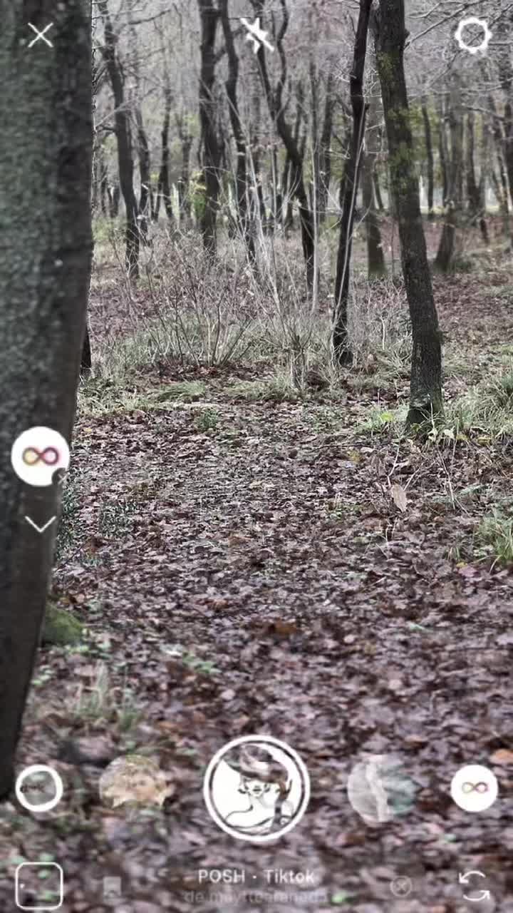 @&Ouml;mer &ccedil;elik