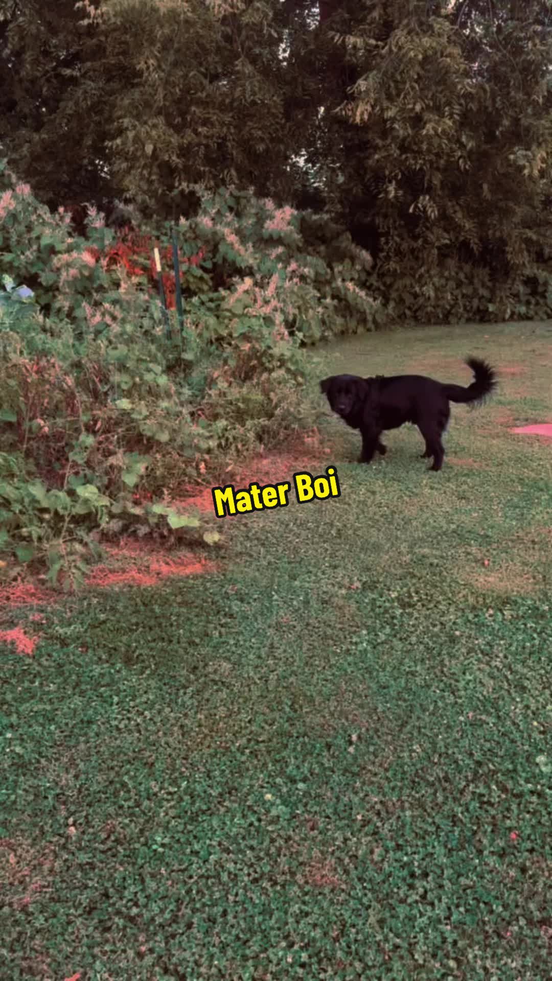 @CalebCreditt