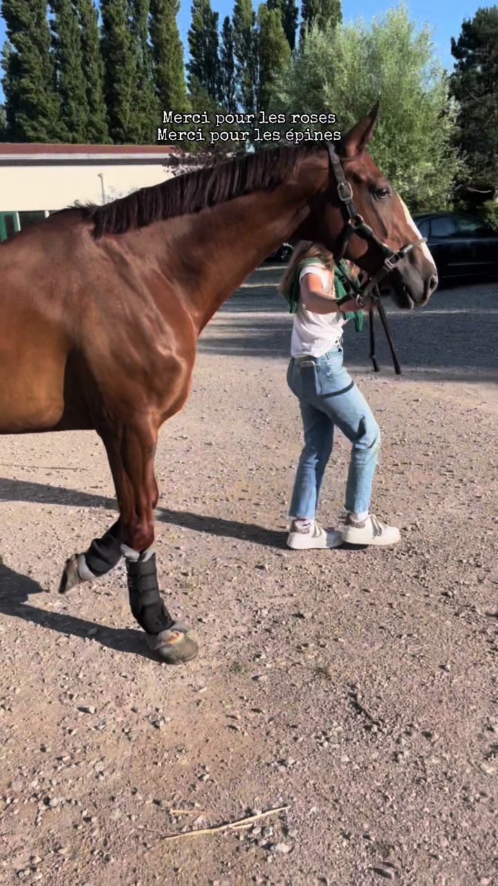 @Ma&euml;lyne cuvelier🤠