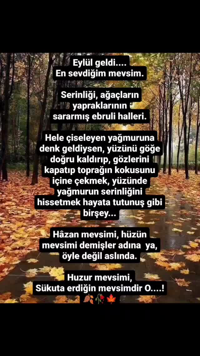 @ASLIHAN 🤷🏻&zwj;♀️☕✅