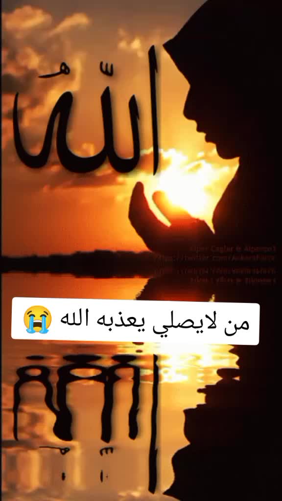@salmansalman