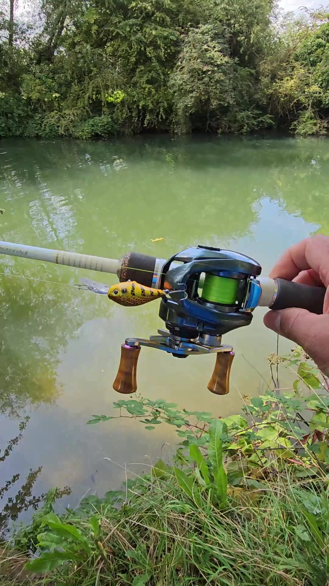 @BF Angler
