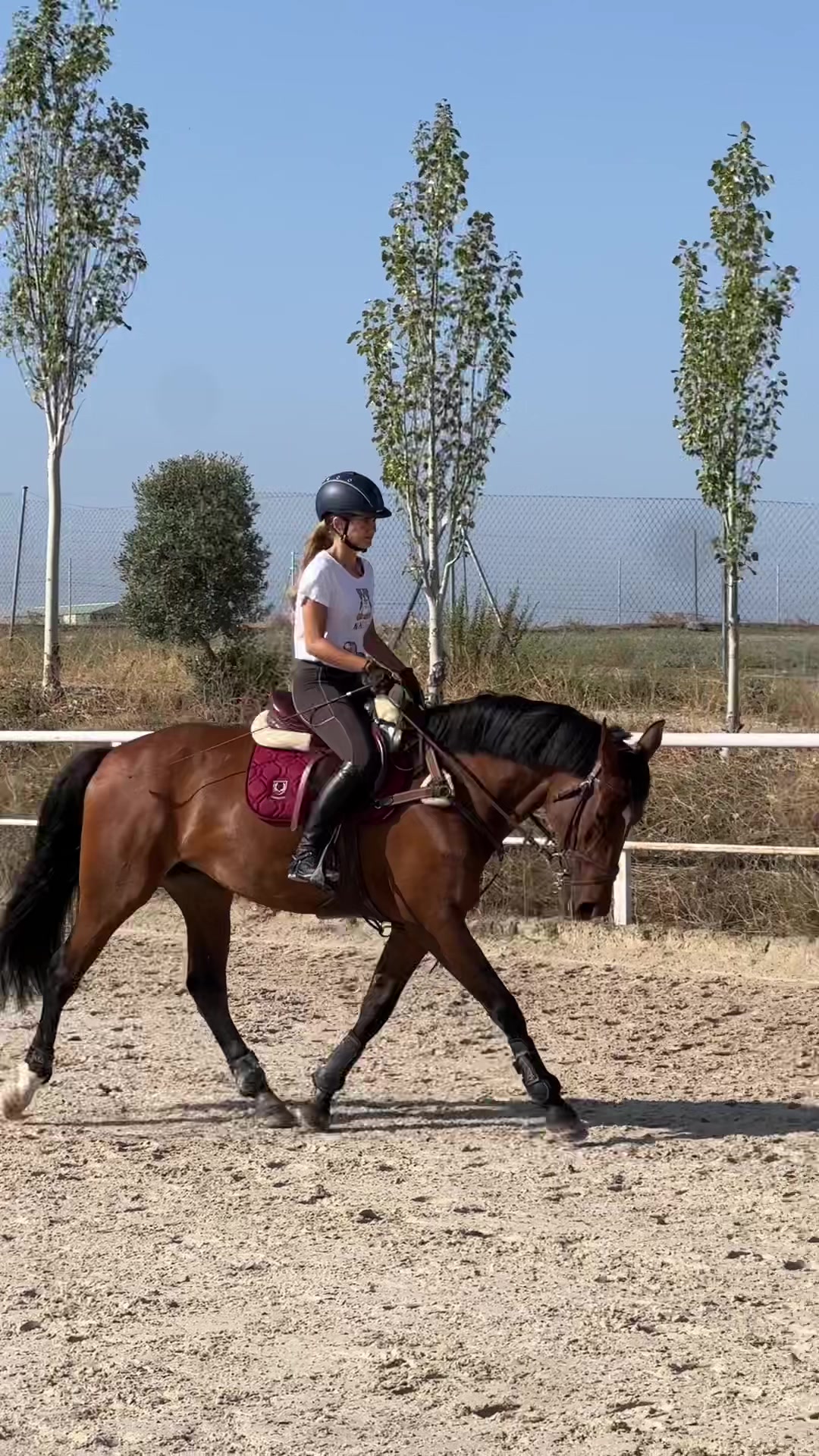 @MHA Teamriding