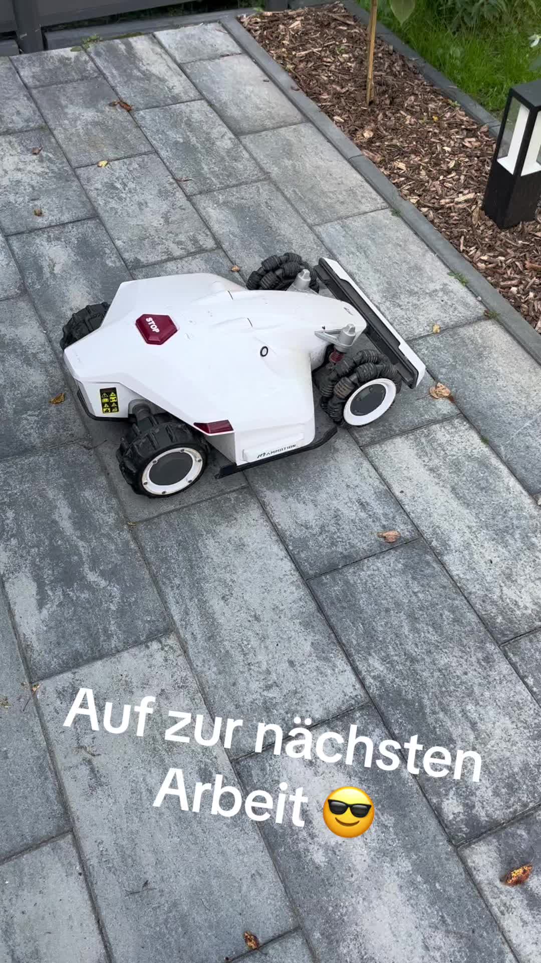 @nico_dyea