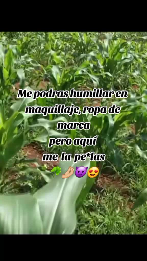 @🦋&hearts;️Yoly👑🦋